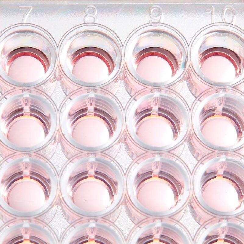 ПЛАНШЕТ КУЛЬТУРАЛЬНИЙ BIOLITE 130187 - 48-ЛУНКОВИЙ ПЛАСКОДОННИЙ З ПОВЕРХНЕЮ РОСТУ 0.75 СМ² СТЕРИЛЬНИЙ З КРИШКОЮ